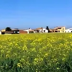 Centena Apartment *